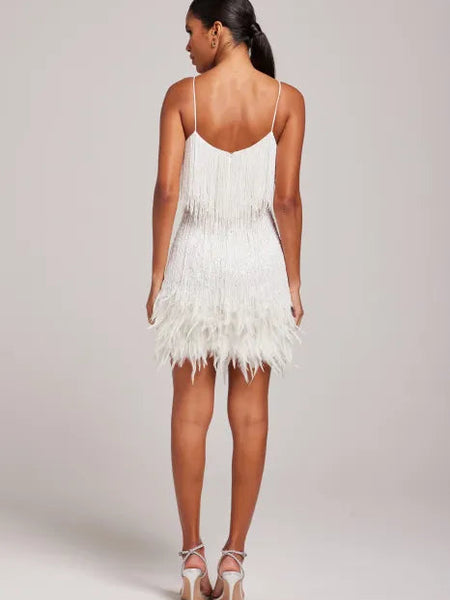 Fringe Feather Dress