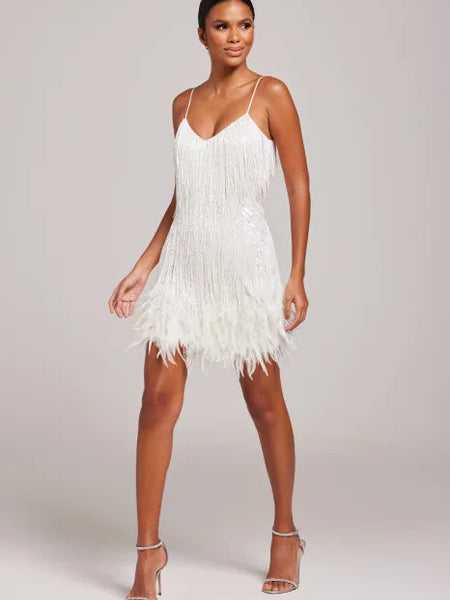 Fringe Feather Dress