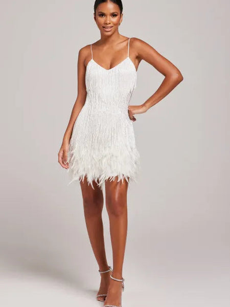 Fringe Feather Dress