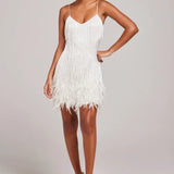 Fringe Feather Dress