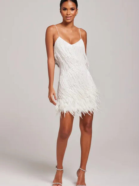 Fringe Feather Dress